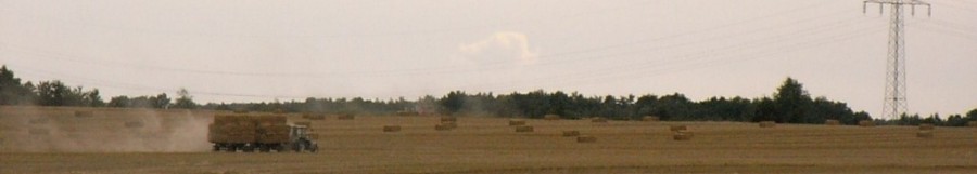 RIMG0005.JPG