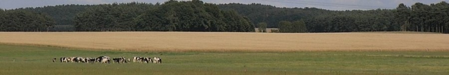 RIMG0683.JPG